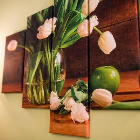 Osrodek Wypoczynkowy Karolinka Lodge *